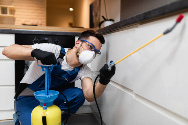 Best Pest Control Treatment  in Magnet Cove, AR