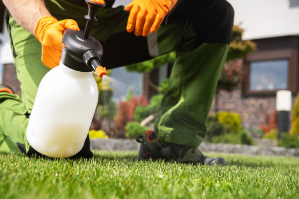 Best Wasp Removal Services  in Magnet Cove, AR