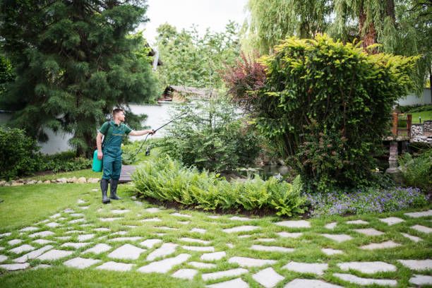 Best Pest Prevention Services  in Magnet Cove, AR
