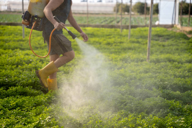 Best Best Pest Control Companies  in Magnet Cove, AR