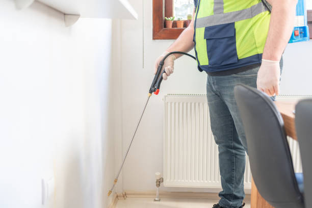Best Termite Control Services  in Magnet Cove, AR