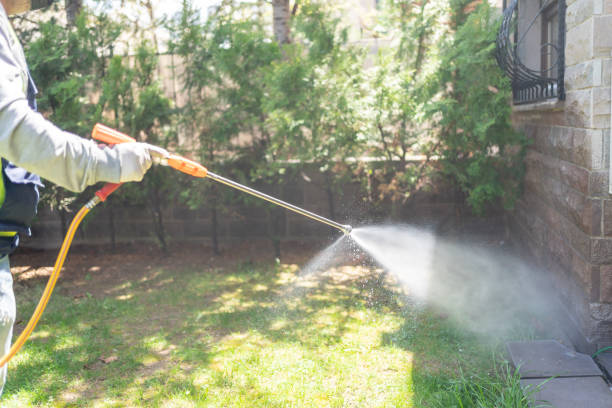 Best Termite Control Services  in Magnet Cove, AR