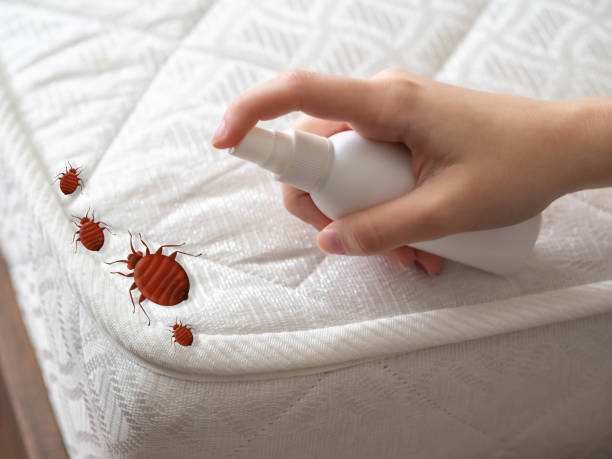 Best Flea Control Services  in Magnet Cove, AR