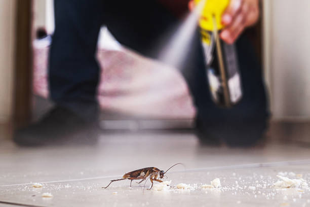 Best Pest Prevention Services  in Magnet Cove, AR