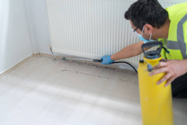 Best Best Pest Control Companies  in Magnet Cove, AR