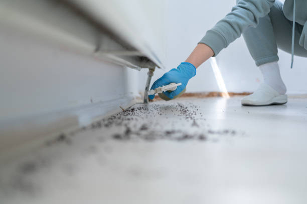 Best Commercial Pest Control Services  in Magnet Cove, AR